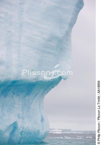 Antarctique. - © Philip Plisson / Plisson La Trinité / AA18894 - Nos reportages photos - Glace
