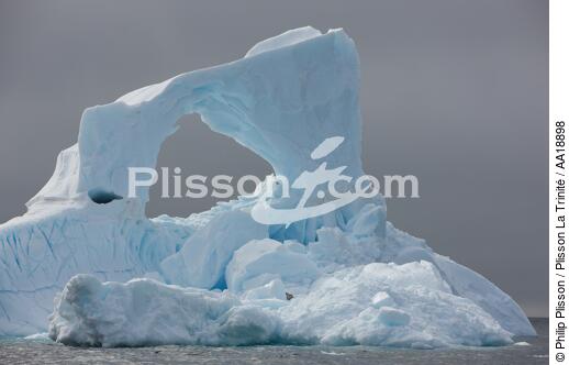 Antarctica. - © Philip Plisson / Plisson La Trinité / AA18898 - Photo Galleries - Antarctica
