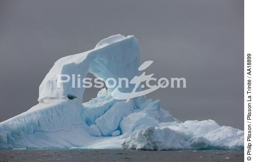 Antarctique. - © Philip Plisson / Plisson La Trinité / AA18899 - Nos reportages photos - Antarctique