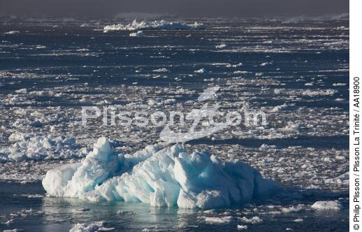 Antarctique. - © Philip Plisson / Plisson La Trinité / AA18900 - Nos reportages photos - Glace