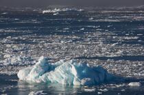 Antarctique. © Philip Plisson / Plisson La Trinité / AA18900 - Nos reportages photos - Glace