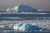 Antarctica. © Philip Plisson / Plisson La Trinité / AA18901 - Photo Galleries - Iceberg