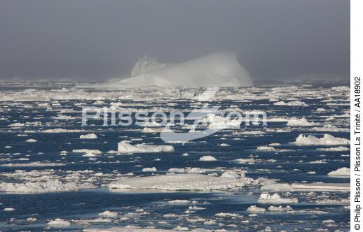 Antarctique. - © Philip Plisson / Plisson La Trinité / AA18902 - Nos reportages photos - Iceberg