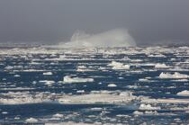 Antarctique. © Philip Plisson / Plisson La Trinité / AA18902 - Nos reportages photos - Iceberg
