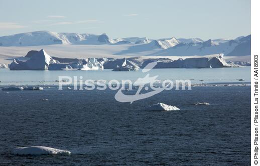 Antarctique. - © Philip Plisson / Plisson La Trinité / AA18903 - Nos reportages photos - Antarctique