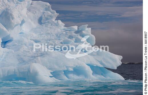 Antarctique. - © Philip Plisson / Plisson La Trinité / AA18907 - Nos reportages photos - Antarctique