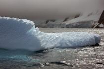 Antarctique. © Philip Plisson / Plisson La Trinité / AA18908 - Nos reportages photos - Antarctique