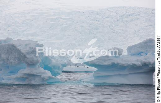 Antarctique. - © Philip Plisson / Plisson La Trinité / AA18911 - Nos reportages photos - Antarctique