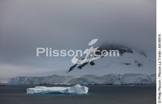 Antarctique. - © Philip Plisson / Plisson La Trinité / AA18914 - Nos reportages photos - Antarctique