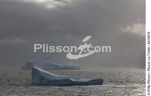 Antarctique. - © Philip Plisson / Plisson La Trinité / AA18919 - Nos reportages photos - Antarctique
