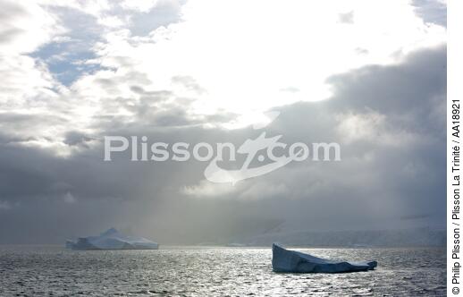 Antarctique. - © Philip Plisson / Plisson La Trinité / AA18921 - Nos reportages photos - Glace