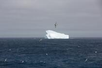 Antarctique. © Philip Plisson / Plisson La Trinité / AA18927 - Nos reportages photos - Iceberg