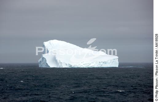 Antarctique. - © Philip Plisson / Plisson La Trinité / AA18928 - Nos reportages photos - Antarctique