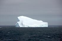 Antarctique. © Philip Plisson / Plisson La Trinité / AA18928 - Nos reportages photos - Antarctique