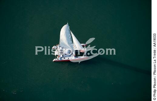 Catamaran dans le Golfe du Morbihan - © Philip Plisson / Plisson La Trinité / AA19033 - Nos reportages photos - Catamaran de croisière