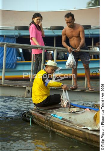 Pêcheur à Bangkok. - © Philip Plisson / Plisson La Trinité / AA19296 - Nos reportages photos - Chao Praya