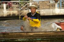 Pêcheur à Bangkok. © Philip Plisson / Plisson La Trinité / AA19298 - Nos reportages photos - Chao Praya