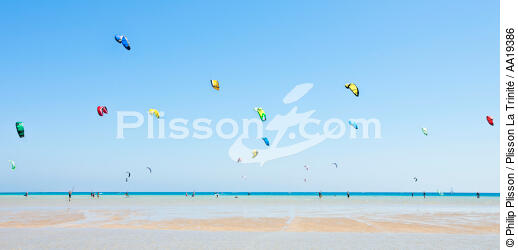 Kite surf sur la plage d'El Gouna. - © Philip Plisson / Plisson La Trinité / AA19386 - Nos reportages photos - L'Egypte vue du ciel