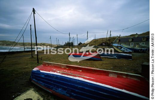 Masts erected for drying nets return of fishing - © Philip Plisson / Plisson La Trinité / AA19513 - Photo Galleries - Masts