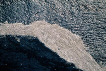 Saint-Kilda et ses pétrels fulmars © Philip Plisson / Plisson La Trinité / AA19523 - Nos reportages photos - Faune et Flore