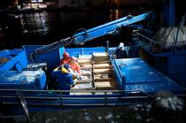 Criée de Vigo © Philip Plisson / Plisson La Trinité / AA19726 - Nos reportages photos - La pêche à la sardine