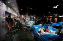 Vigo Fish Dock © Philip Plisson / Plisson La Trinité / AA19727 - Photo Galleries - Vigo