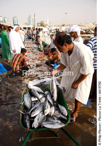 Fish market of Sharjah - © Philip Plisson / Plisson La Trinité / AA19782 - Photo Galleries - Tradition