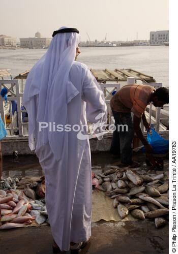 Fish market of Sharjah - © Philip Plisson / Plisson La Trinité / AA19783 - Photo Galleries - Dubai