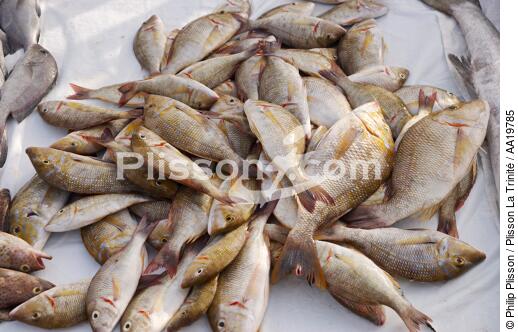 Fish market of Sharjah - © Philip Plisson / Plisson La Trinité / AA19785 - Photo Galleries - Market