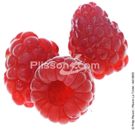 Raspberries. - © Philip Plisson / Plisson La Trinité / AA19805 - Photo Galleries - Gourmet food
