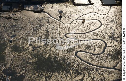 Low tide at Locmariaquer. - © Philip Plisson / Plisson La Trinité / AA19839 - Photo Galleries - Low tide