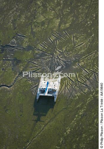 Low tide at Locmariaquer. - © Philip Plisson / Plisson La Trinité / AA19840 - Photo Galleries - Cruising catamaran