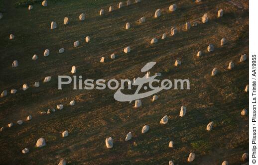 Carnac,alignments of standing stones. - © Philip Plisson / Plisson La Trinité / AA19955 - Photo Galleries - Standing stone