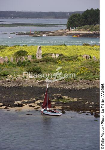 Er-Lannic,Golfe du Morbihan. - © Philip Plisson / Plisson La Trinité / AA19998 - Nos reportages photos - Mégalithe