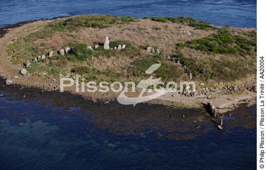 Er Lannic,Golfe du Morbihan. - © Philip Plisson / Plisson La Trinité / AA20004 - Nos reportages photos - Mégalithe