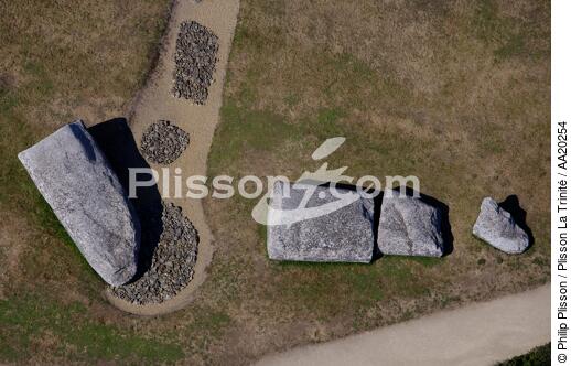 Le grand menhir brisé de Locmariaquer. - © Philip Plisson / Plisson La Trinité / AA20254 - Nos reportages photos - Mégalithe
