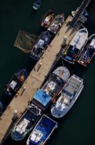 Bâteaux de pêche au ponton,Port-maria. © Philip Plisson / Plisson La Trinité / AA20334 - Nos reportages photos - Quiberon [presqu'île de]