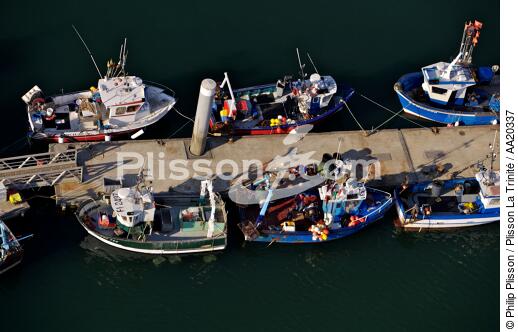 Bâteaux de pêche au ponton,Port-maria. - © Philip Plisson / Plisson La Trinité / AA20337 - Nos reportages photos - Casier