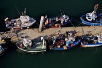 Bâteaux de pêche au ponton,Port-maria. © Philip Plisson / Plisson La Trinité / AA20337 - Nos reportages photos - Casier