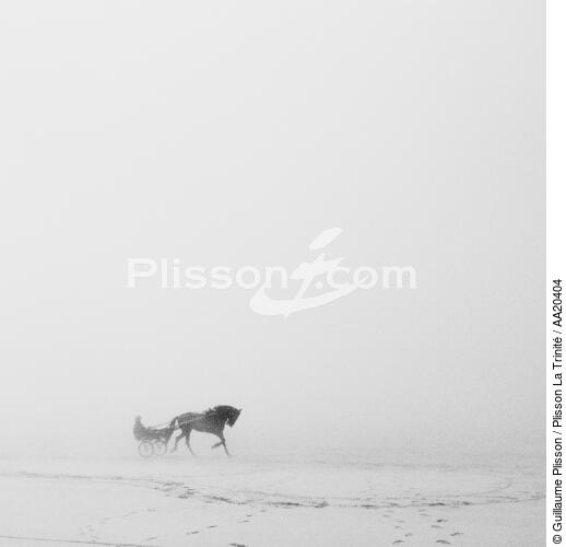 On Dossen beach in Santec. - © Guillaume Plisson / Plisson La Trinité / AA20404 - Photo Galleries - Fauna