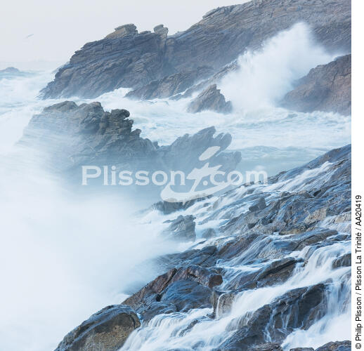 Quiberon, wild coast. - © Philip Plisson / Plisson La Trinité / AA20419 - Photo Galleries - Wild coast