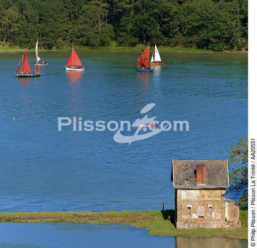 Sur la rivière d'Auray - © Philip Plisson / Plisson La Trinité / AA20551 - Nos reportages photos - Morbihan