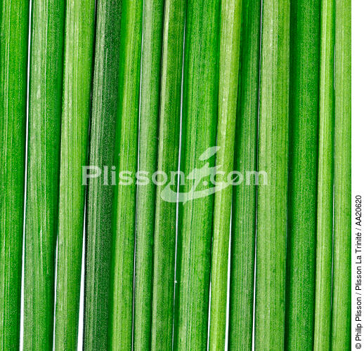Grass. - © Philip Plisson / Plisson La Trinité / AA20620 - Photo Galleries - Gourmet food