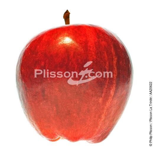 Apple. - © Philip Plisson / Plisson La Trinité / AA20622 - Photo Galleries - Gourmet food
