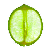 Citrus 3 © Philip Plisson / Plisson La Trinité / AA20639 - Photo Galleries - Green lemon