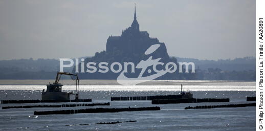Le Mont Saint-Michel. - © Philip Plisson / Plisson La Trinité / AA20891 - Nos reportages photos - La Baie du Mont-Saint-Michel et Chausey