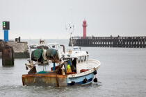 Boulogne. © Philip Plisson / Plisson La Trinité / AA20959 - Nos reportages photos - De Dunkerque à la Baie de Somme