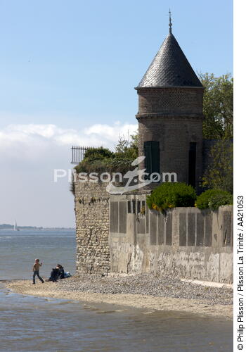 Le Crotoy. - © Philip Plisson / Plisson La Trinité / AA21053 - Nos reportages photos - De Dunkerque à la Baie de Somme