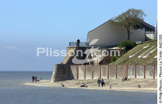 The Crotoy. - © Philip Plisson / Plisson La Trinité / AA21055 - Photo Galleries - From Dunkerque to la Baie de Somme
