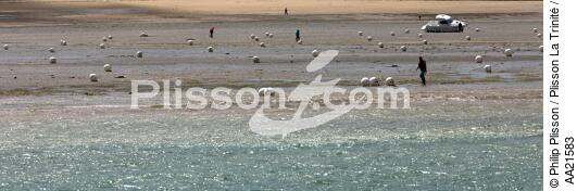 Dinard. - © Philip Plisson / Plisson La Trinité / AA21583 - Photo Galleries - Low tide